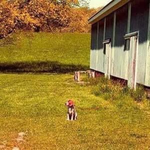 Meet your Posher, Adam